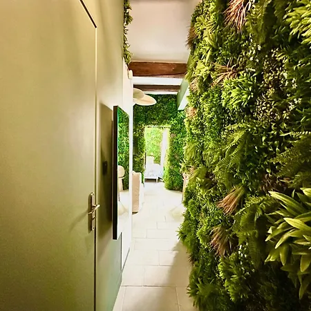 Insolite Classé - Arènes - Parking Appartement *