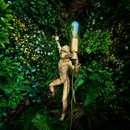 Insolite Classé - Arènes - Parking Appartement *