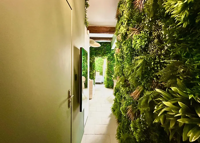 Insolite Classé - Arènes - Parking Appartement *