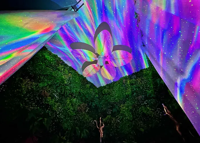 Insolite Classé - Arènes - Parking Appartement *