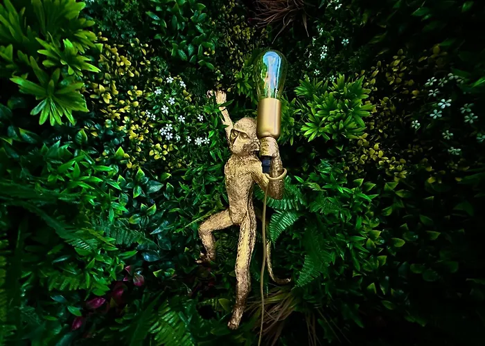 Insolite Classé - Arènes - Parking Appartement *