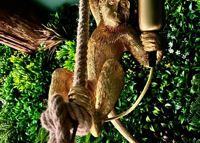 Insolite Classé - Arènes - Parking